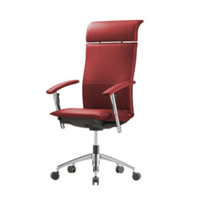 luxusne-ergonomicke-kancelarske-kreslo-NS-Tiger-Up-S-Drevex